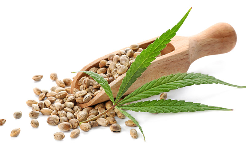 ใบและเมล็ด